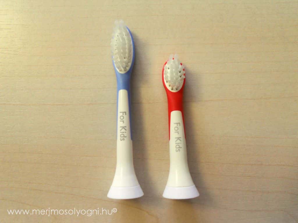 Kétféle fej jár a fogkeféhez: a kisebbiket 4 éves kortól, a nagyobbikat 7 éves kortól ajánlott használni.