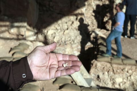 400 ezer éves fogakra találtak az izraeli Qesem barlangjában.