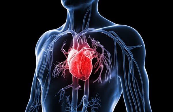 szájhigiénia szívbetegség kapcsolat